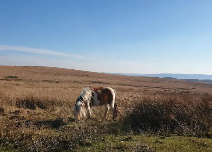 Bethel Nook, A Cosy Stay In The Welsh Valleys