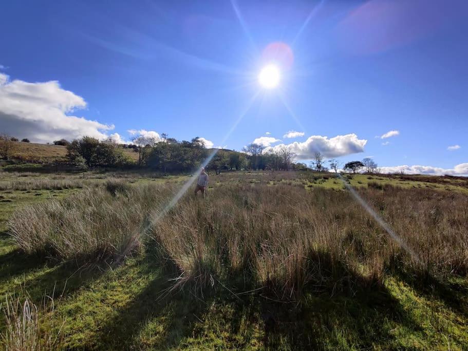 Bethel Nook, A Cosy In The Welsh Valleys