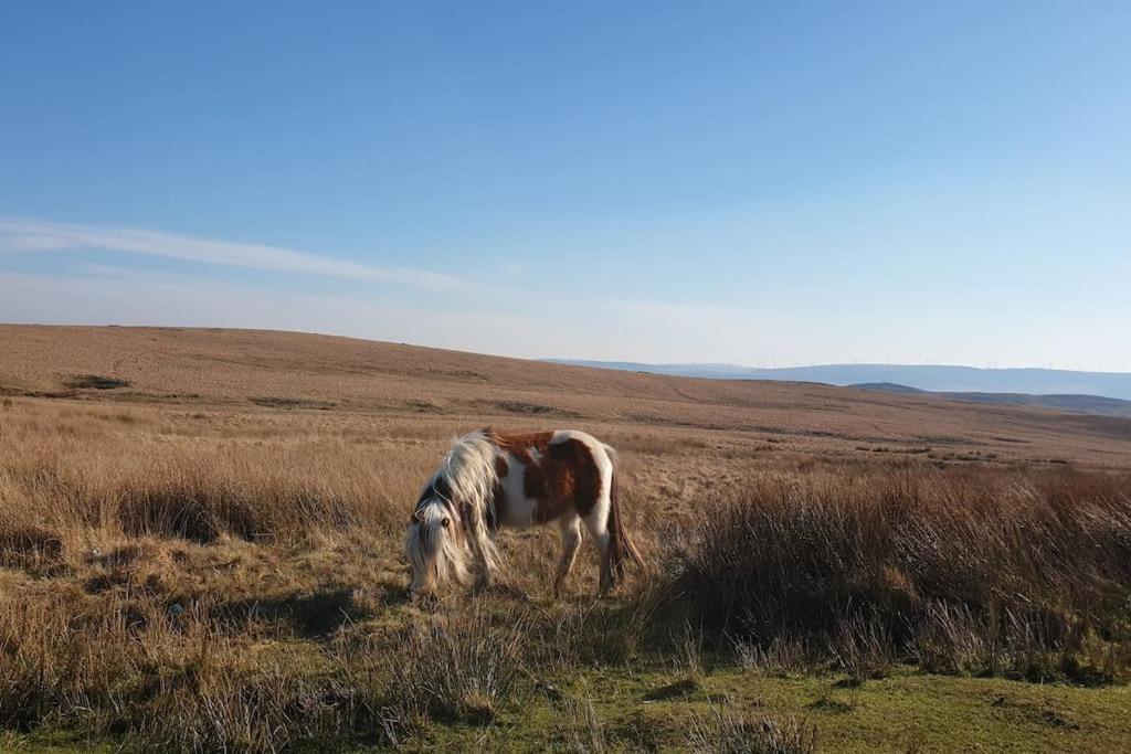 Bethel Nook, A Cosy In The Welsh Valleys Hirwaun